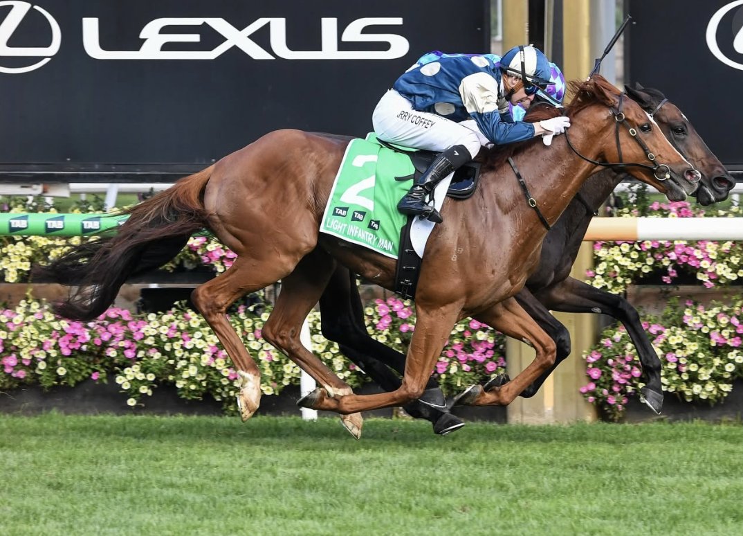 A winning racehorse and connections after a feature race